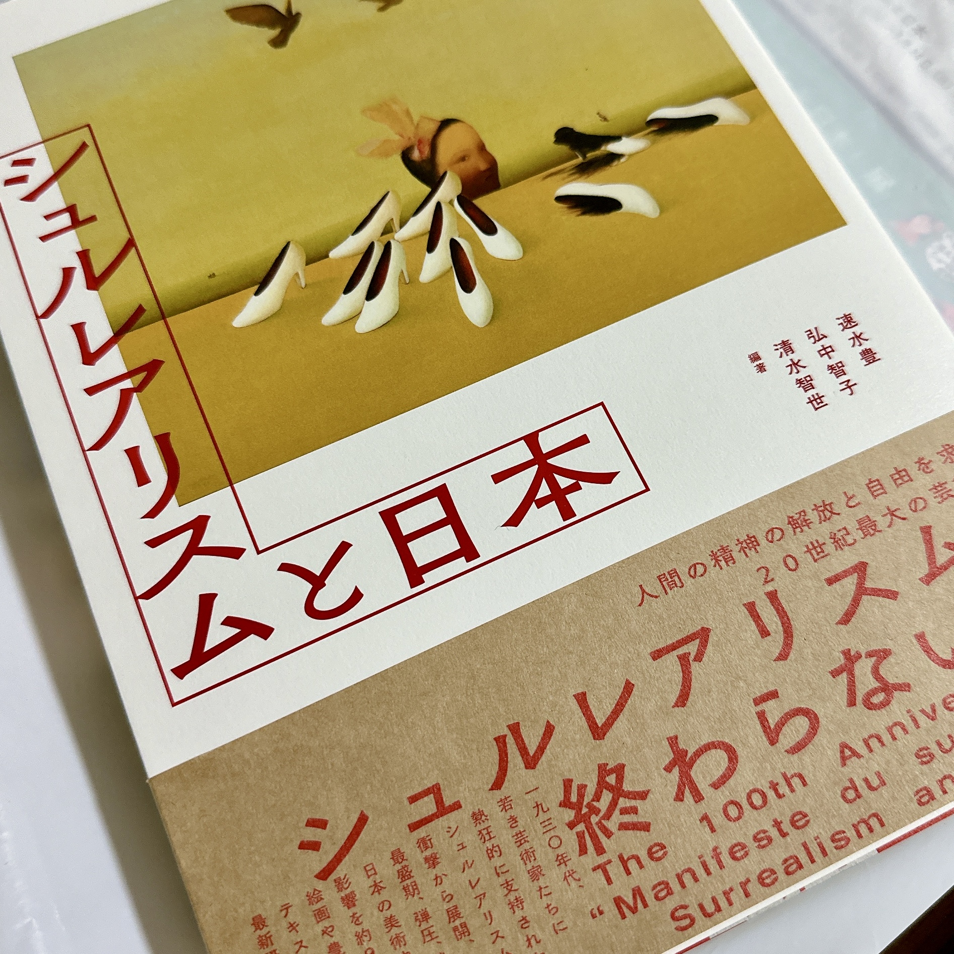 650円〜】日本人が描き出す超現実主義絵画展「シュルレアリスムと日本」で、暗澹と静謐の共存を見る。 - CORAMA